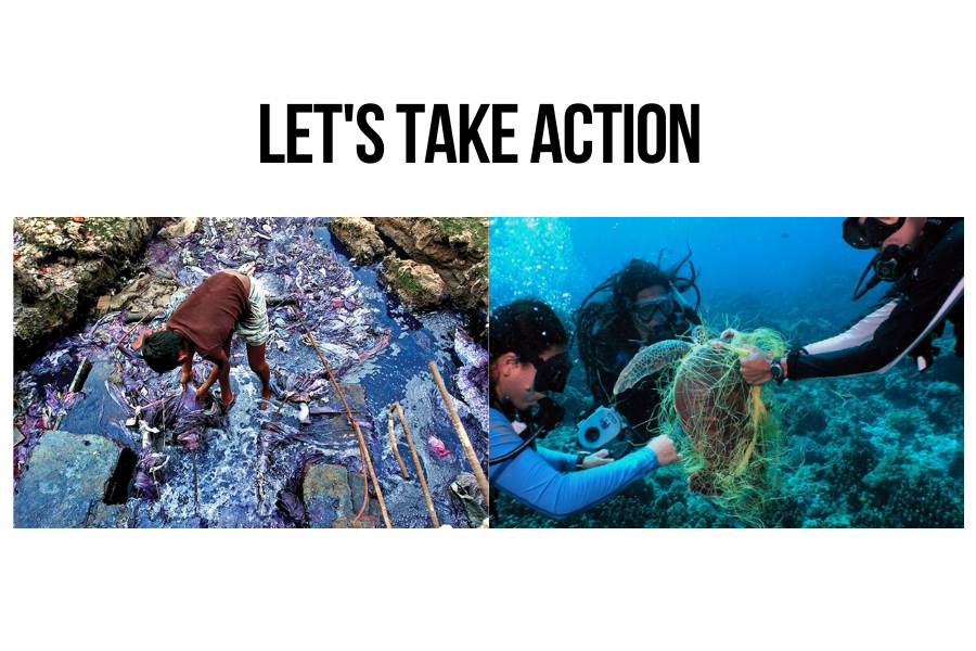How fashion waste affects marine animals and ecosystems