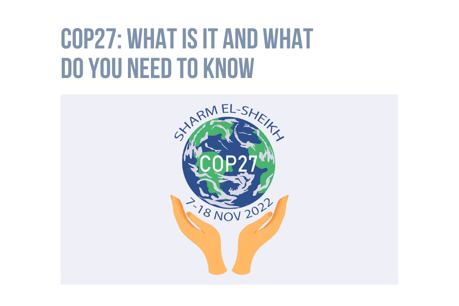 COP27: What is it and what do you need to know