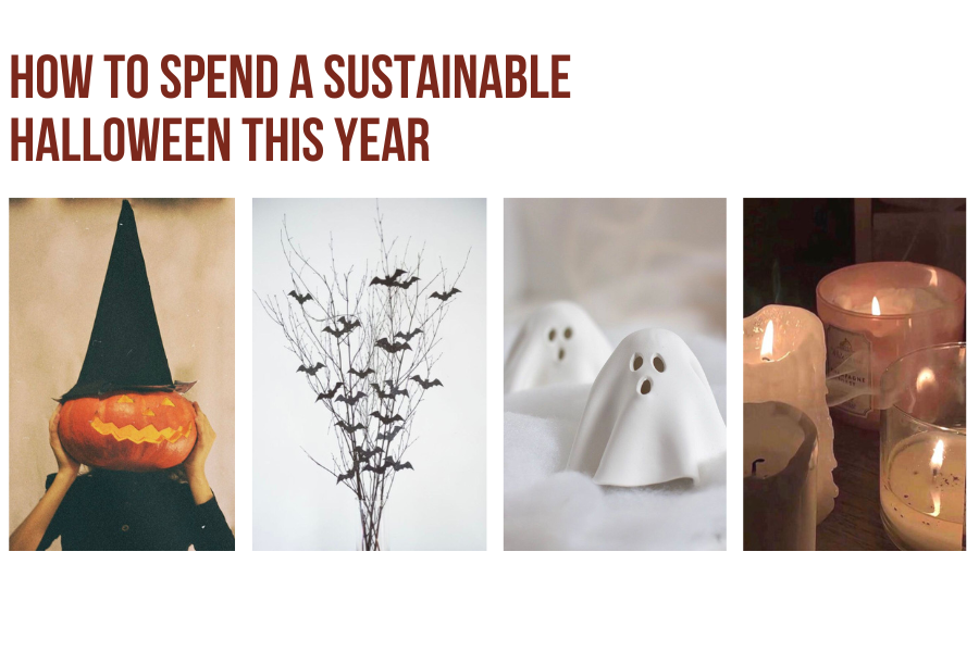 🎃 How to spend a more sustainable Halloween this year 🎃