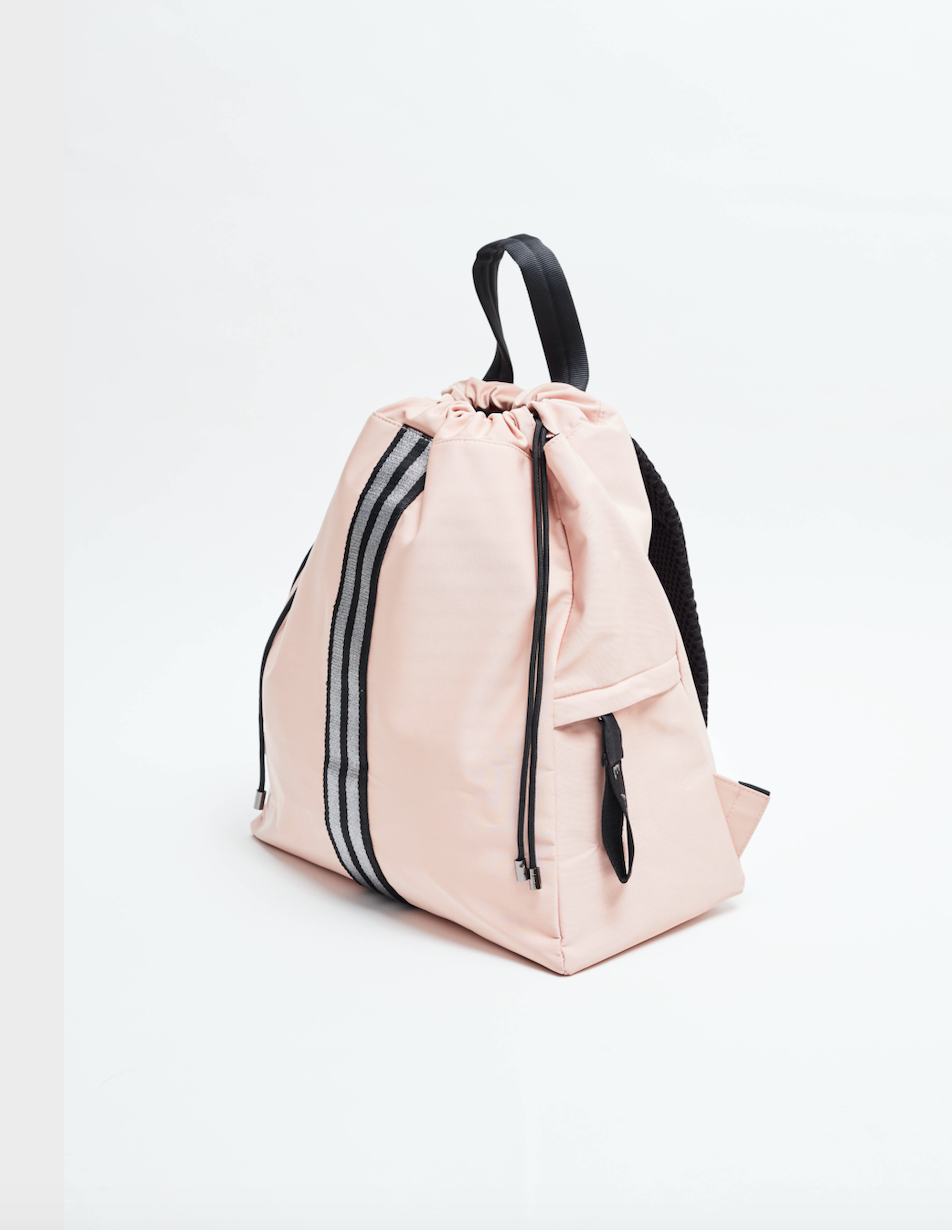 Ace family top backpack pink